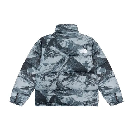 JAQUETA THE NORTH FACE INVERNO 2024